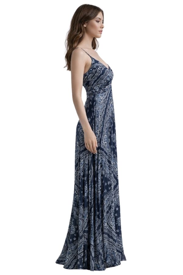 The Midnight Print Pleated Maxi Dress