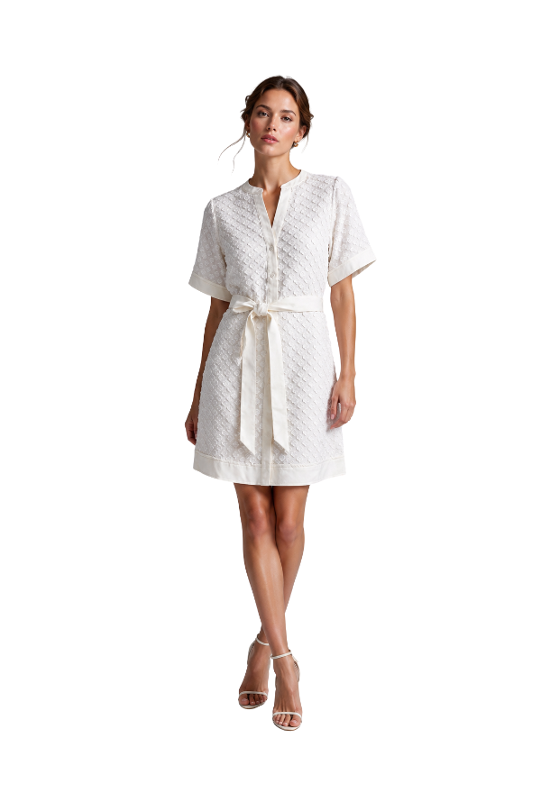 The Van Detailed Belted Dress - pookie and sebastian