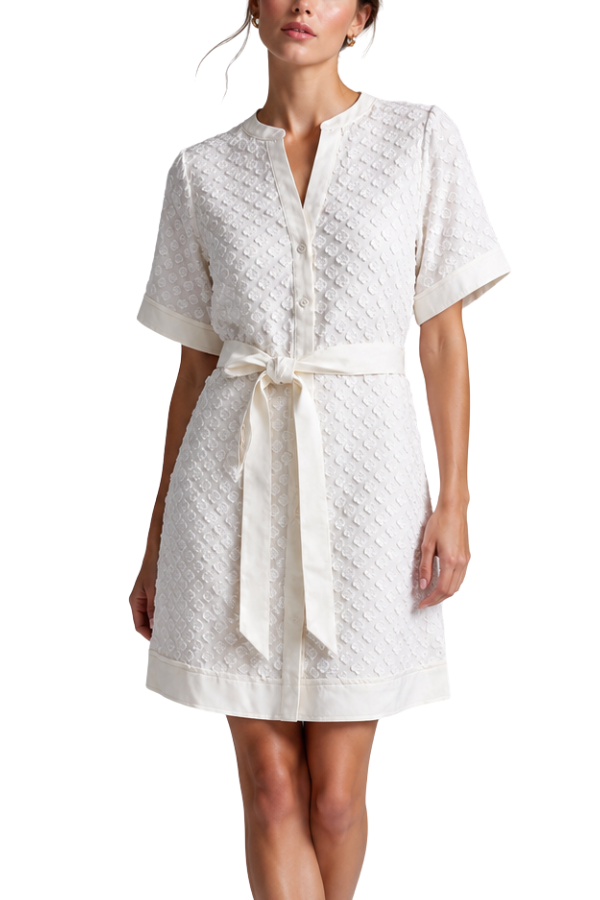 The Van Detailed Belted Dress - pookie and sebastian