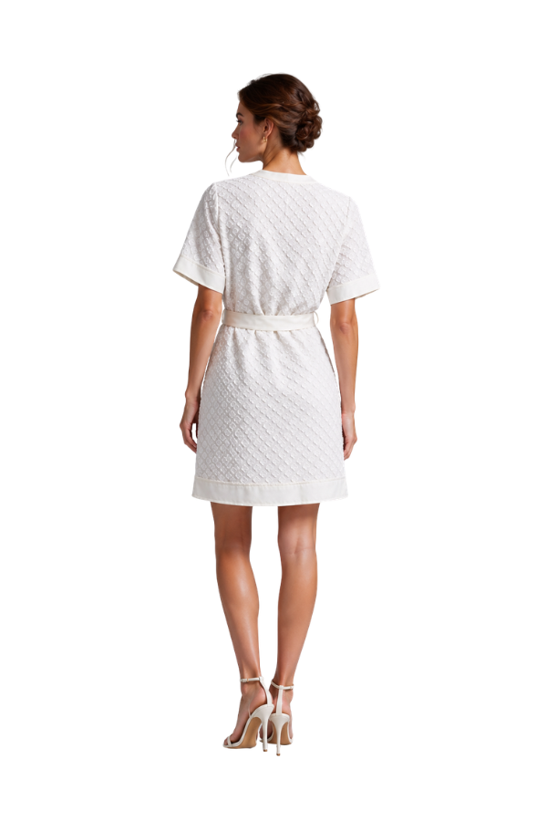 The Van Detailed Belted Dress - pookie and sebastian