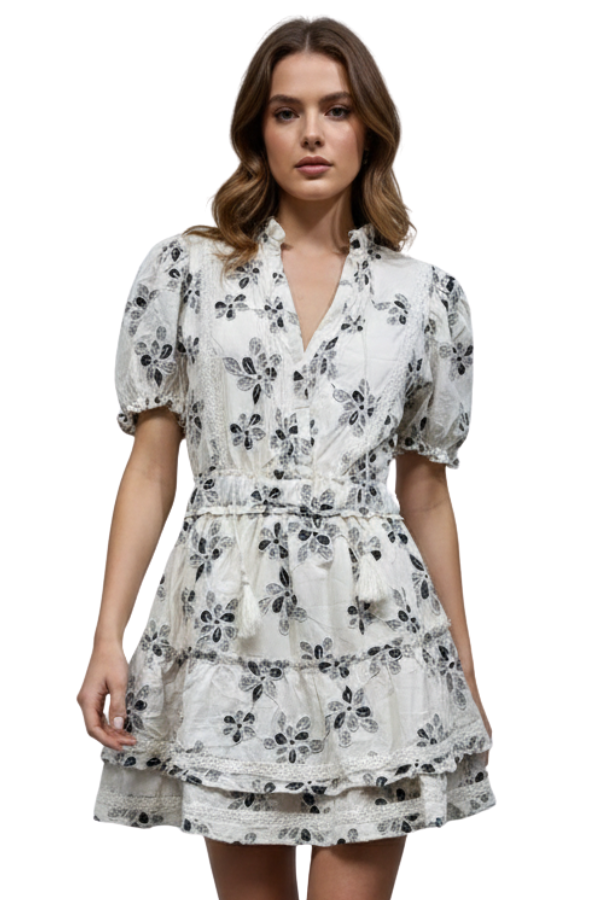 The Alessandra Embroidered Ruffle Mini Dress