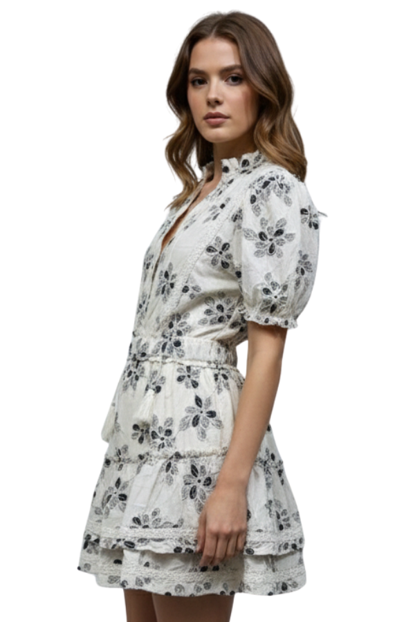 The Alessandra Embroidered Ruffle Mini Dress