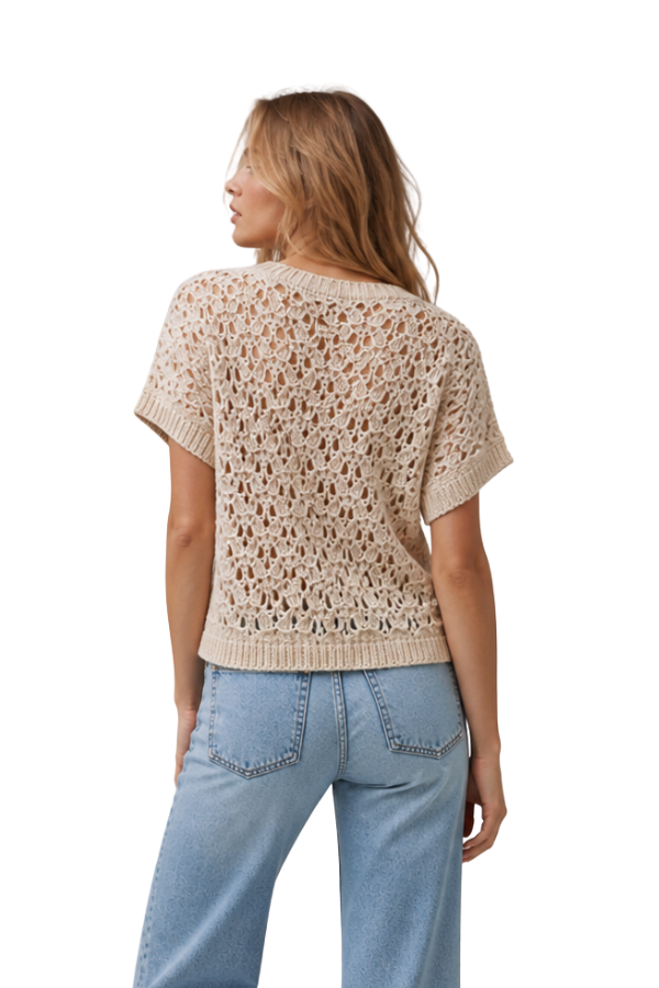 The Lara Crochet Open Knit Short Sleeve Top