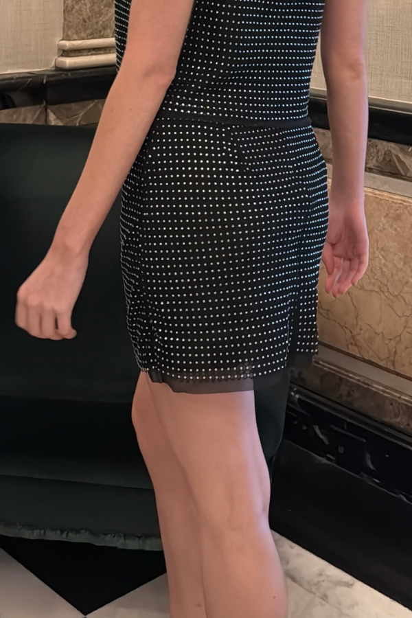 The Starlight Mesh Mini Skirt