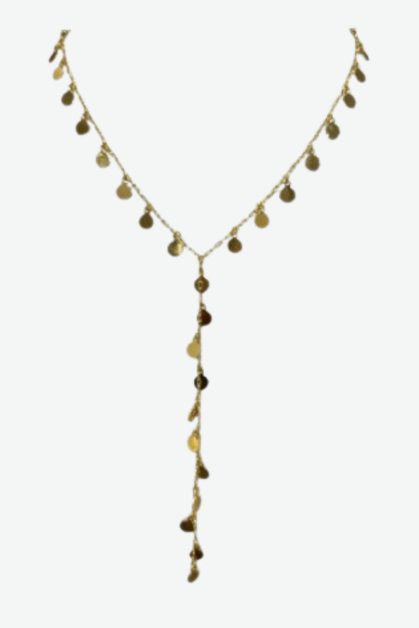 The Lariat Long Necklace