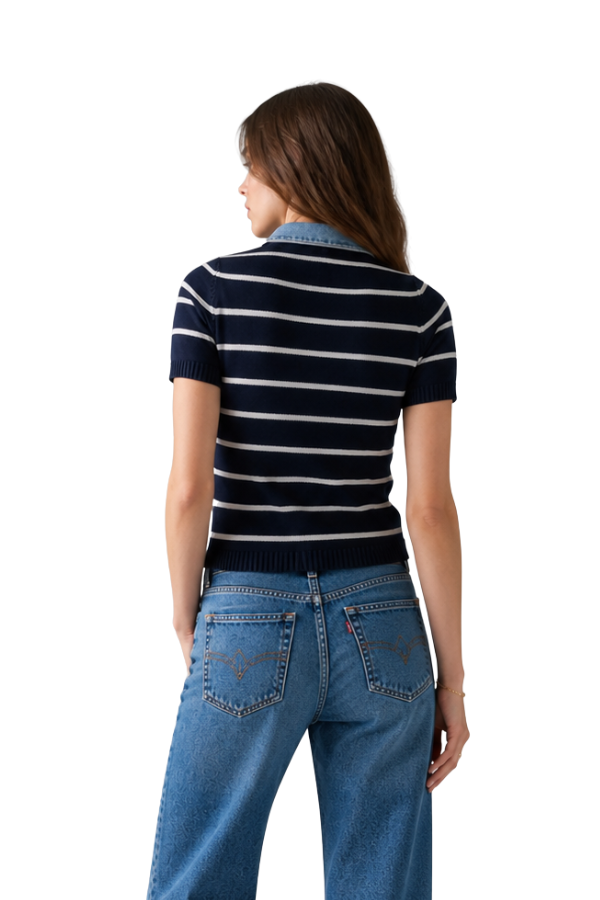 The Raya Stripe Sweater With Denim Collar