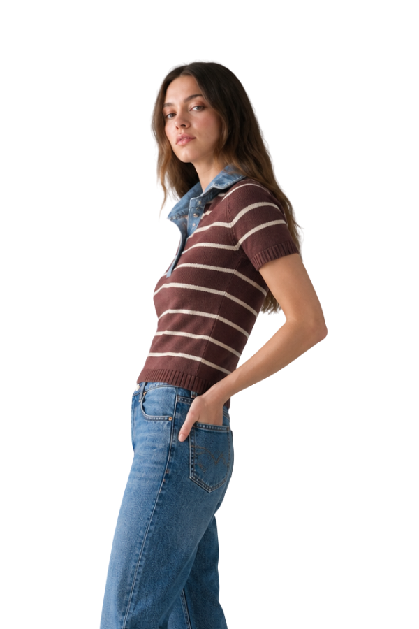 The Raya Stripe Sweater With Denim Collar