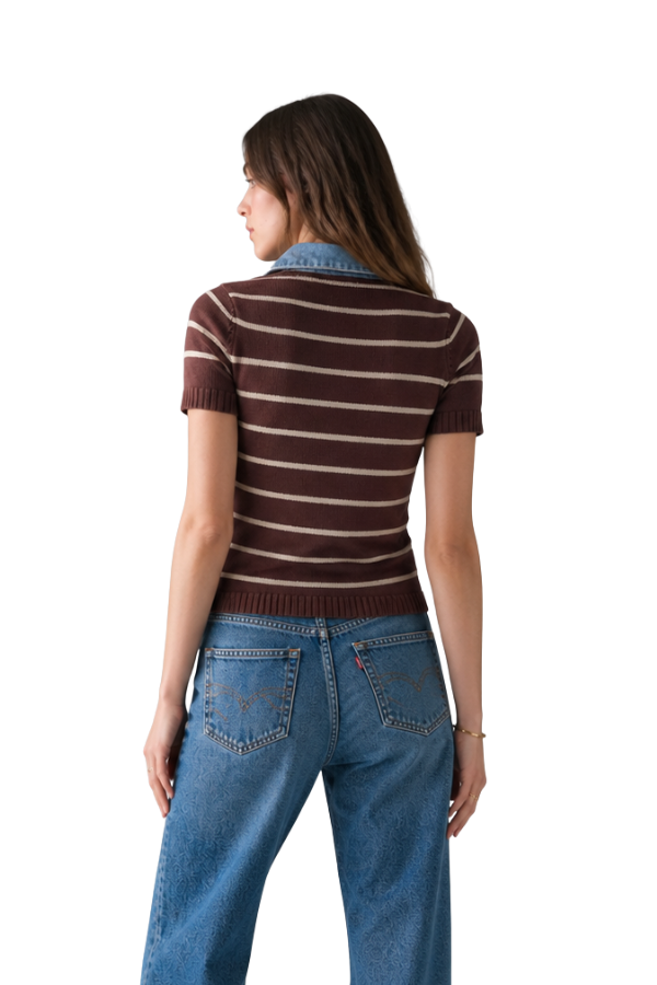 The Raya Stripe Sweater With Denim Collar