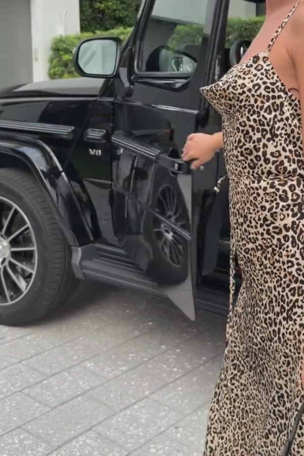 The Riviera Feline Luxe Dress
